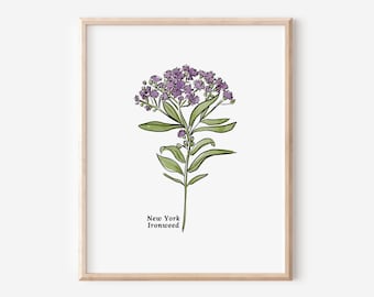 4 Pk New York Ironweed Flower Illustration Printables | 4 Styles Included Watercolor Antique Sketched Floral Decor