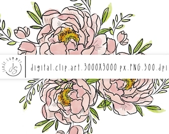 Peony Floral Bundles and Frames | 6 Piece Peonies Clip Art