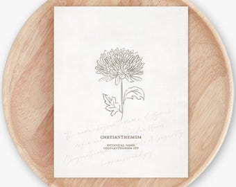 Chrysanthemum Flower Unframed Art Print | Floral Illustration Faux Antique Paper Cottagecore Wall Decor