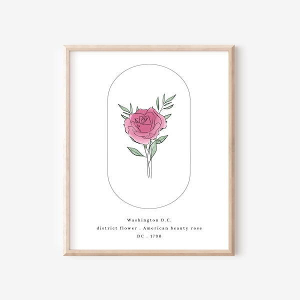 Washington DC District State Flower | American Beauty Rose Watercolor Floral Art Printable | Statehood Art Digital Wall Decor