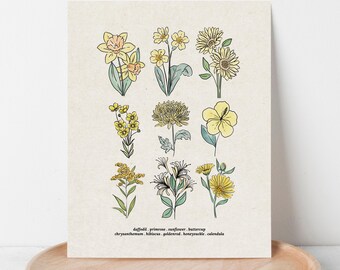 Yellow Flower Chart Unframed Art Print | Antique Paper Background | Sunflower Daisy Garden Inspired Art