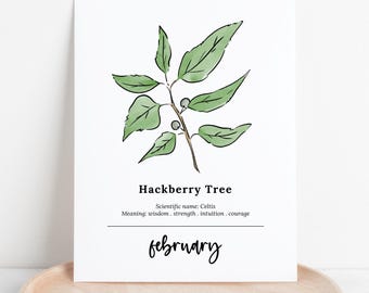 Birth Tree Art