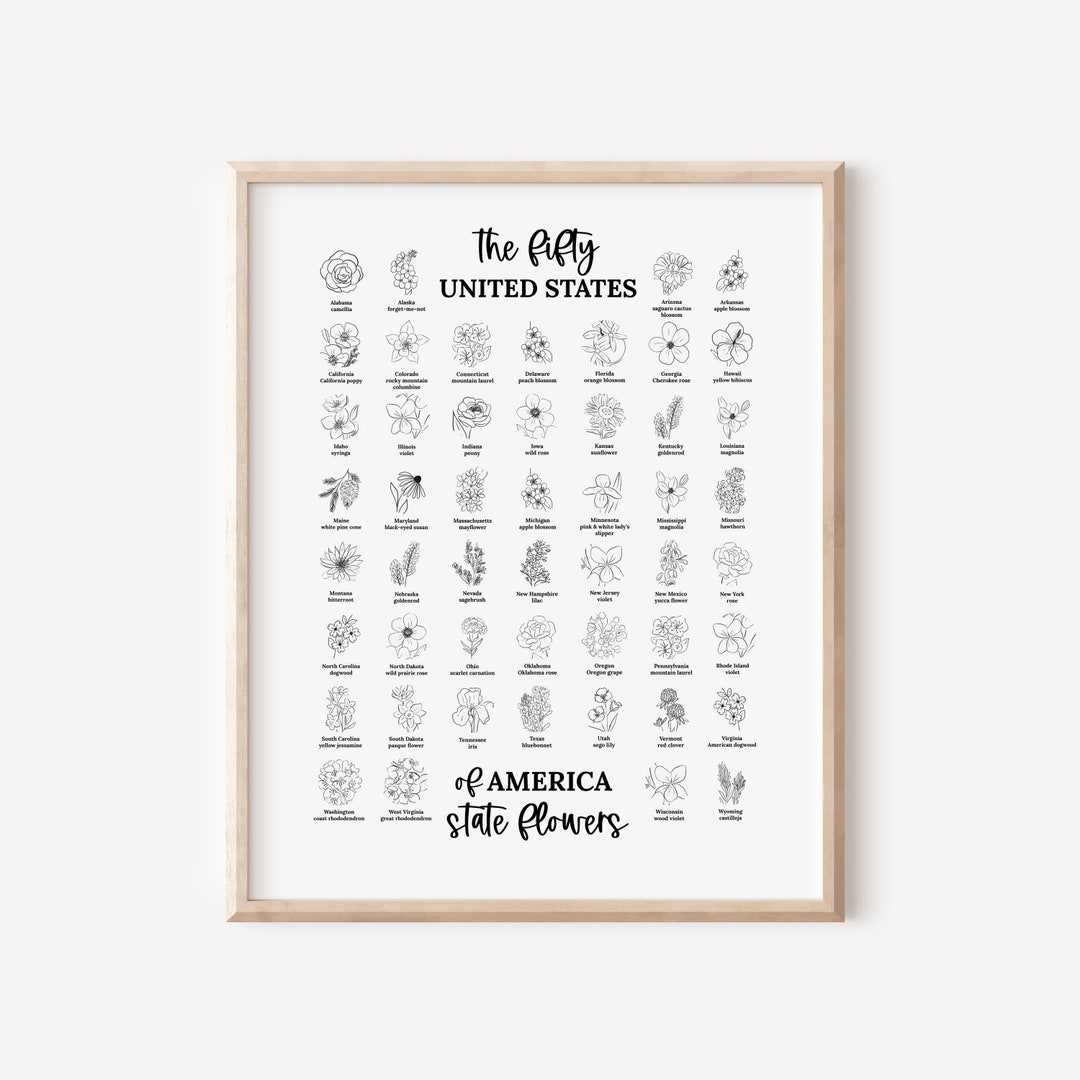 US State Flower Illustration Chart Printable | United States of America ...