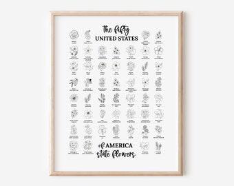 US State Flower Chart Poster Print | United States of America 50 States | 3 Sizes | Black & White Floral Line Art