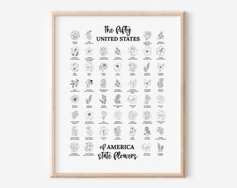 US State Flower Illustration Chart Printable | United States of America 50 States