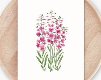 Hand Painted Fireweed Flowers | Pink Wildflower Art Print | Floral Wall Decor