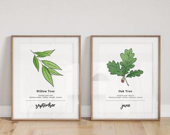 Birth Tree Art Print | Birth Month Botanical Illustrations