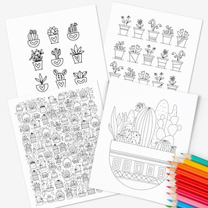 4 Pk Rośliny Doniczkowe Do Wydrukowania Kolorowanki Cyfrowe Arkusze Kolorów | Rysowane Ręcznie Rośliny Kaktusy Sukulenty Ilustracje Kwiatów