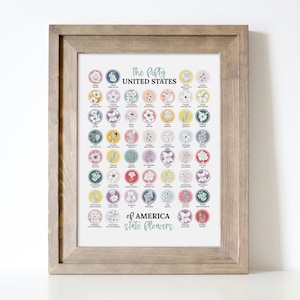 US State Flower Colorful Chart Printable | United States of America 50 ...