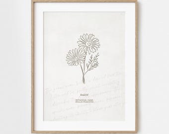 Daisy Flower Unframed Art Print | Floral Illustration Faux Antique Paper Cottagecore Wall Decor