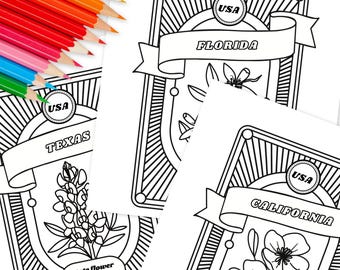 US State Flower Coloring Pages | 50 Hand Illustrated Educational Printable Floral Coloring Sheets