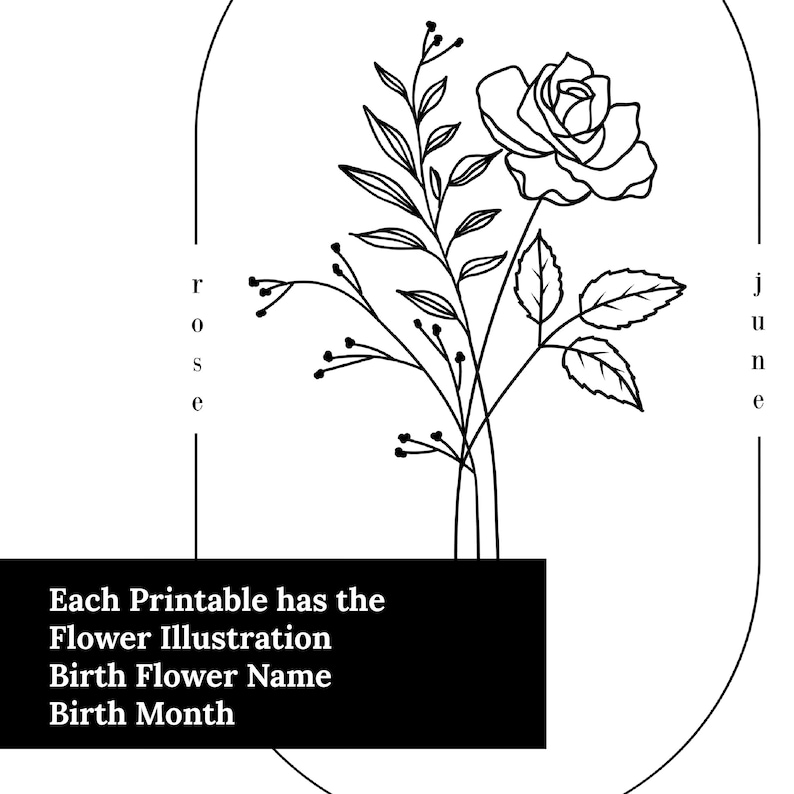 May include: Black and white line art illustration of a rose flower with leaves and stems. The text "rose" and "june" are written vertically on either side of the image. The text "Each Printable has the Flower Illustration Birth Flower Name Birth Month" is at the bottom of the image.