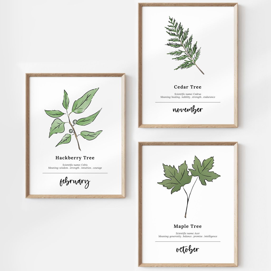 12 Month Birth Tree Birth Wood Watercolor Printables | Birth Month ...