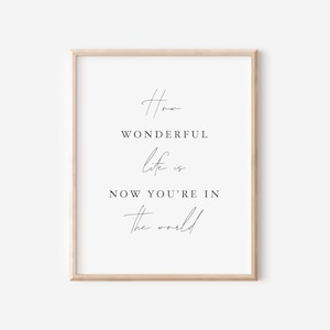 Pode incluir: Uma impress&atilde;o emoldurada com o texto "How wonderful life is now you're in the world" em uma fonte preta minimalista.