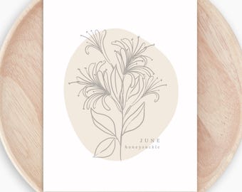 June Honeysuckle Birth Flower Printable | Simple Line Art Boho Decor Style | Birthday Gift Nursery Art | Neutral Wall Decor