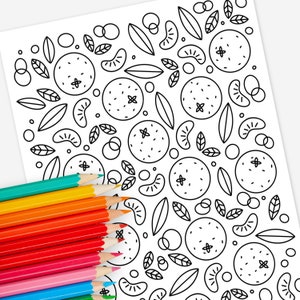 Oranges | Hand-Drawn Coloring Page Print & Color | Digital Printable Color Sheets | Mindful and Relaxing Activity