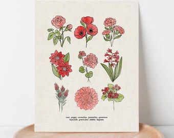 Red Flower Chart Unframed Art Print | Antique Paper Background | Rose Poppy Dahlia Garden Inspired Art