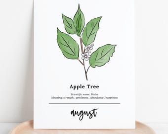 August Apple Tree Birth Wood Printable | Botanical Illustration Birthday Gift