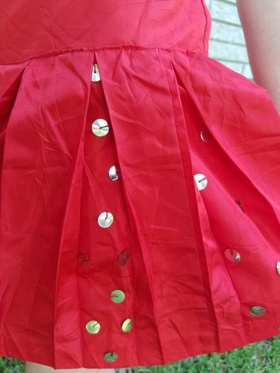 Vintage pleated skirt with built in bloomers cost… - image 3
