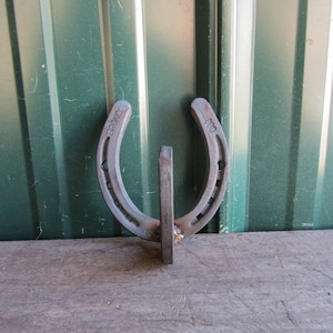 Horseshoe coat hook