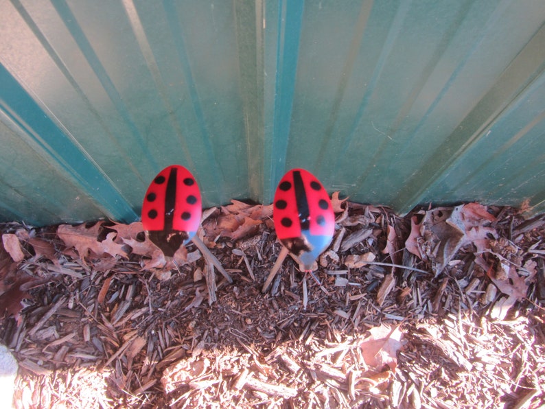 Ladybug Garden Stakes pair image 1