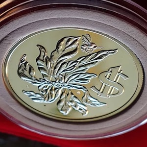 Sterling Silver 1972 Proof Cayman Island Honey Bee and Poinciana Flower Coin, Queen Elizabeth II with Holder. 34mm, 18 grams silver.