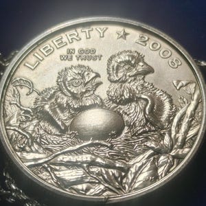 2008 geprägter Halbdollar-Anhänger mit brütenden amerikanischen Adlern, gefasst in Sterlingsilber mit einer 61 cm langen, in Italien gefertigten Sterlingsilber-Seilkette. Sehr seltene Münze der South Mint. Bild 6
