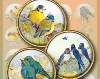 Little Birds Digital Collage Sheet 1.5" 1.25" 30 mm 25 mm 1 inch circles, Vintage Ephemera, Swallow Titmouse Bluebird Round images (EA01-c)