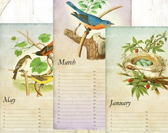 Bird nest egg - Printable Perpetual Birthday Calendar, Anniversary, Eternal Planner, JPEG Editable PDF, Vintage Bluebird Owl Swallow (C017-b