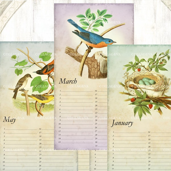 Bird nest egg - Printable Perpetual Birthday Calendar, Anniversary, Eternal Planner, JPEG Editable PDF, Vintage Bluebird Owl Swallow (C017-b