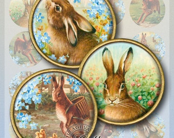 French Rabbit Digital Collage Sheet, 1.5" 1.25" 30 mm 25 mm 1 inch circles, vintage images for pendant, bunny hen chick spring clipart (EC01