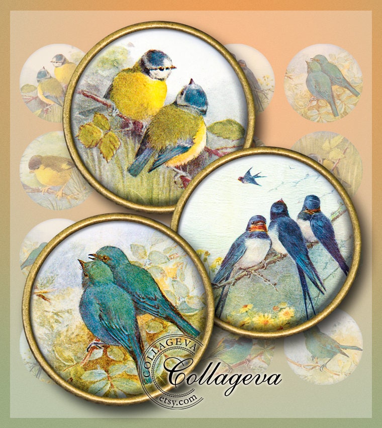 Little Birds Digital Collage Sheet 20 18 16 14 12 Mm Circles - Etsy