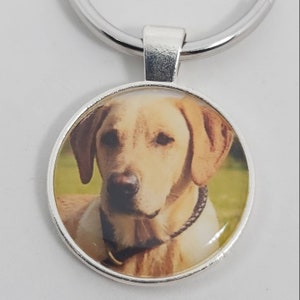 May include: A silver keychain with a round, clear glass charm featuring a close-up photo of a light brown Labrador Retriever dog.