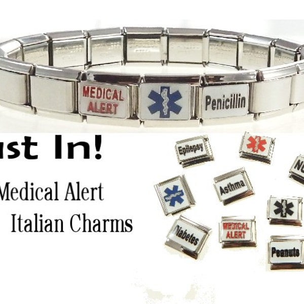 Medical Alert Italian Charm Bracelet Penicillin Epilepsy Diabetes Asthma Nuts Peanuts