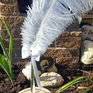 May include: A white feather pen with a white ribbon bow sits on a wooden base with the text "PLEASE TAKE A MOMENT 02/06/18 MR & MRS ROWLANDS TO SIGN A HEART" and the copyright "Taylor-Mayde 2018".