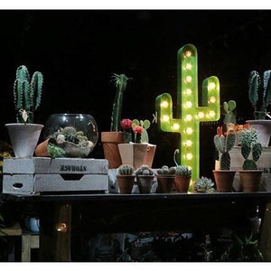 Cactus Marquee 36, Cactus Wall Decor, Light Up Cactus image 8