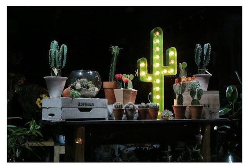 Cactus Marquee 36, Cactus Wall Decor, Light Up Cactus image 8