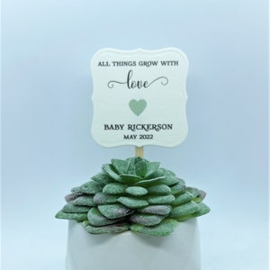 All Things Grow with Love Succulent Favor, Baby Shower Favor, Plant Favor
