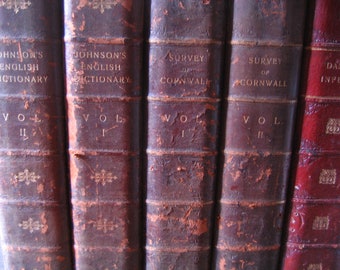 Leather Book Spines Mounted on Wood: Faux Literati!