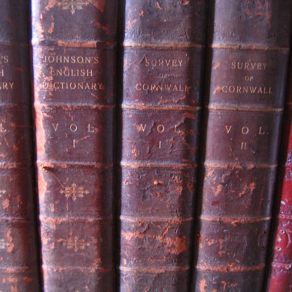 Leather Book Spines Mounted on Wood: Faux Literati!