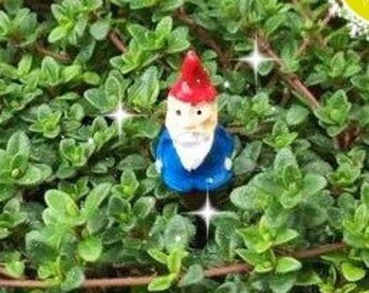 Fairy garden, micro mini gnome, tiny gnome, mini gnome, micro gnome, fairie garden, mini gnome, miniature garden gnome