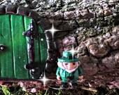 fairy garden, miniature garden, fairy garden miniatures, micro mini leprechaun, micro mini fairy garden, micro leprechaun