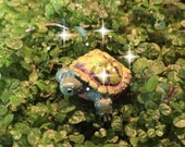 fairy garden turtle, miniature turtle, miniature garden turtle, terrarium turtle, fairy garden accessories