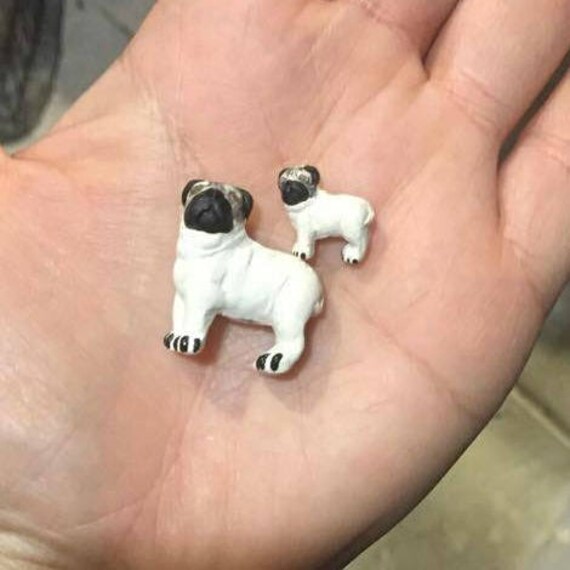 mini pug