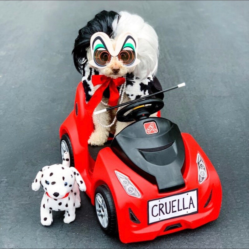 Pu&ograve; includere: Un cane dalmata bianco e nero vestito come Cruella De Vil in un'auto giocattolo rossa con un volante nero. Il cane indossa una parrucca bianca e nera, occhiali da sole e un fiocco rosso. L'auto ha una targa che dice "Cruella".