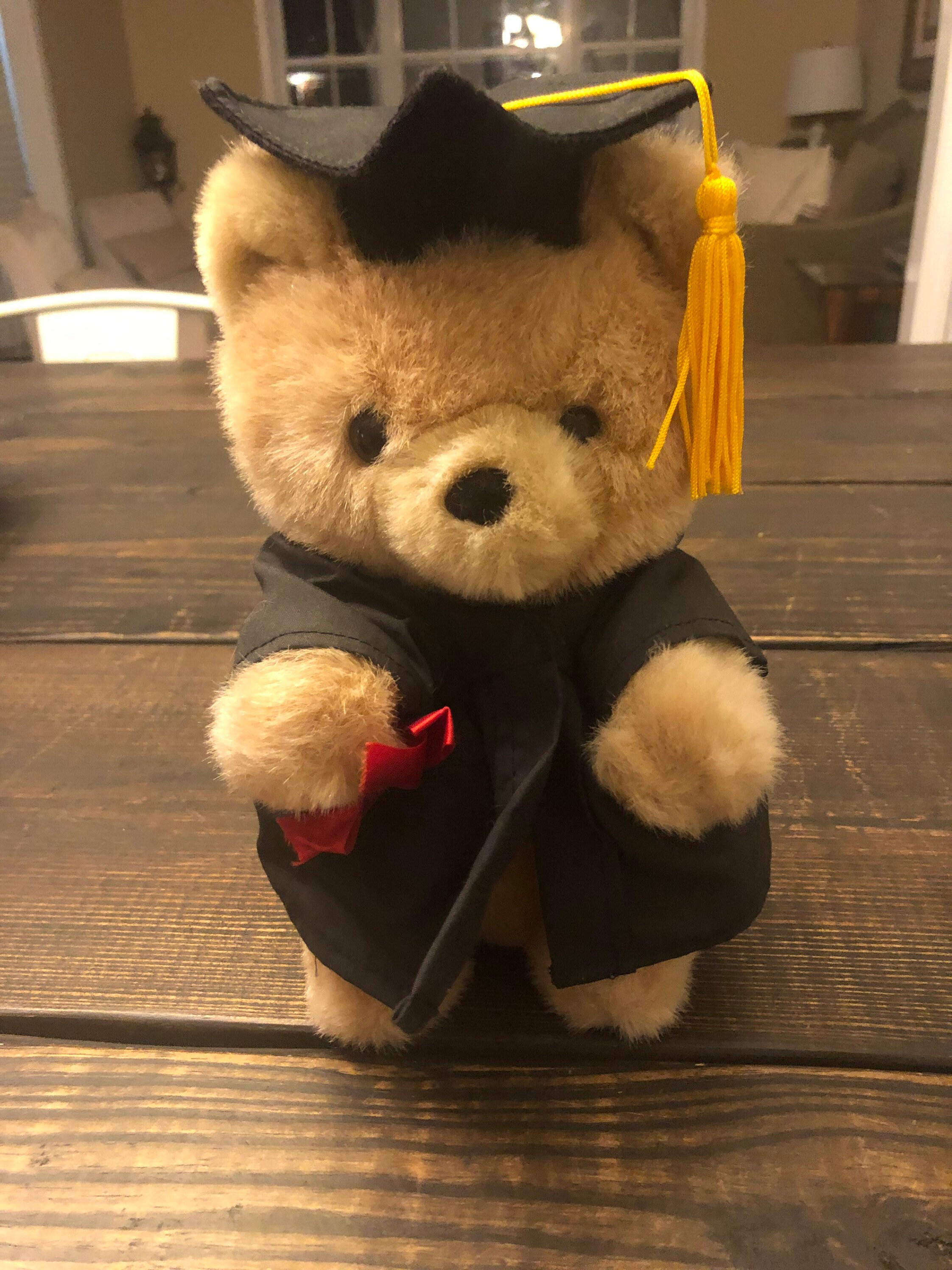 Vintage 1997 Gibson Greetings Graduation Cap and Gown Teddy Etsy