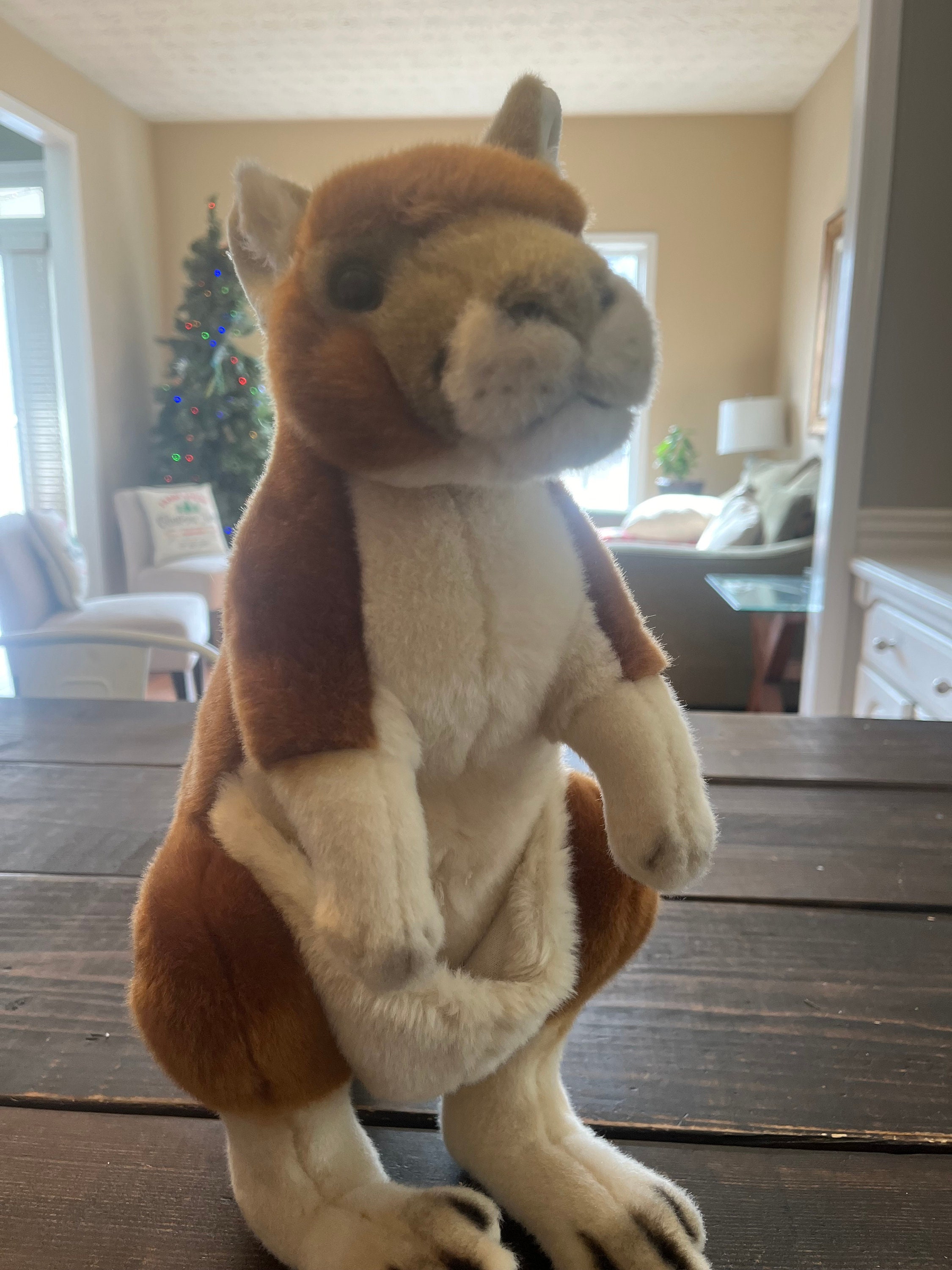 Kangaroo National Geographic Plush Stuffed Toy Lelly Etsy