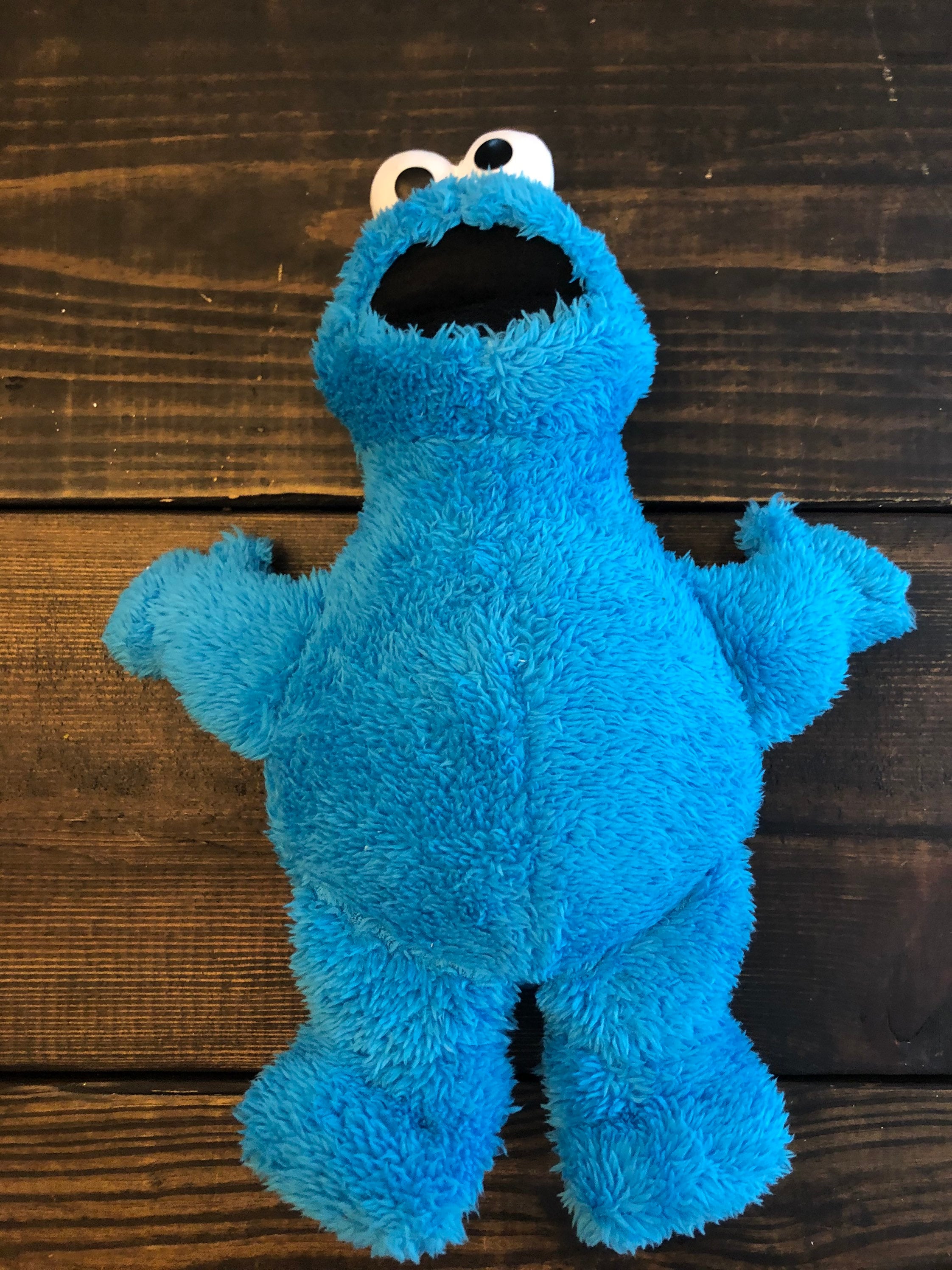 beest Manier Samuel Kohls Cares Sesame Street Cookie Monster Plush - Etsy Nederland