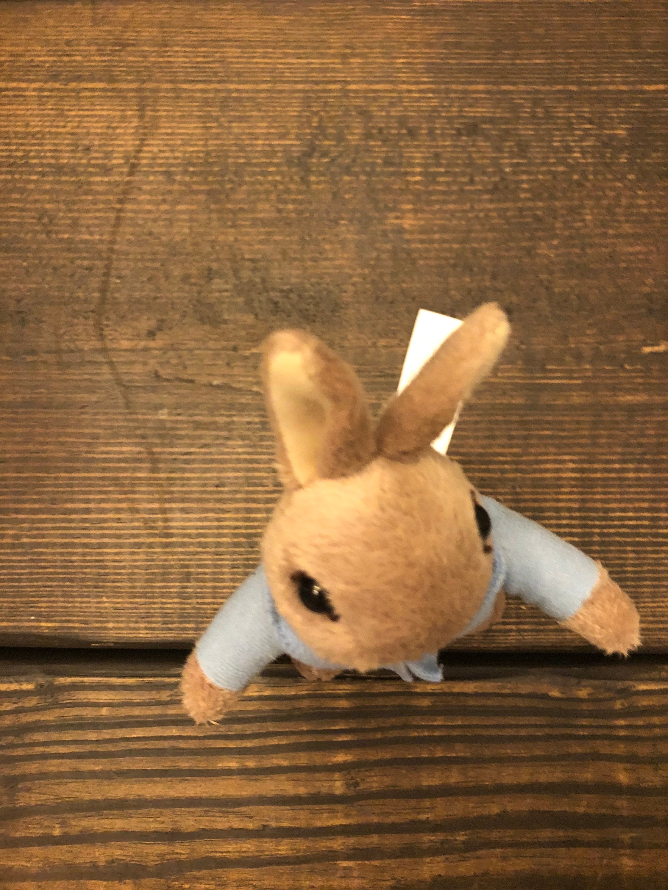 Peter Rabbit Plush Stuffed Animal Fredrick Warne and Company - Etsy