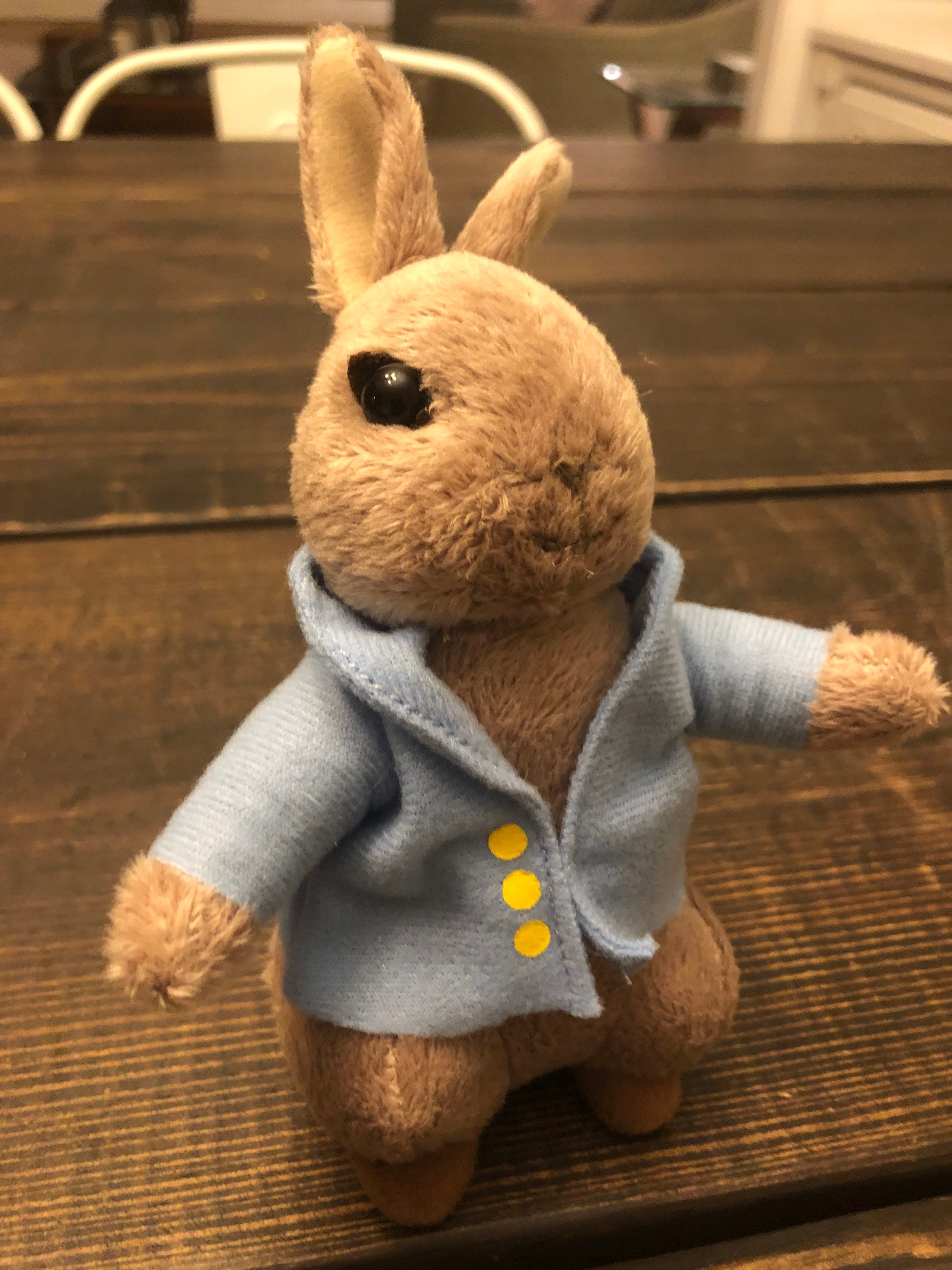 Peter Rabbit Plush Stuffed Animal Fredrick Warne and Company - Etsy